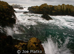 Storm hitting Pacific Grove, Ca. Despite heavy western sw... by Joe Platko 